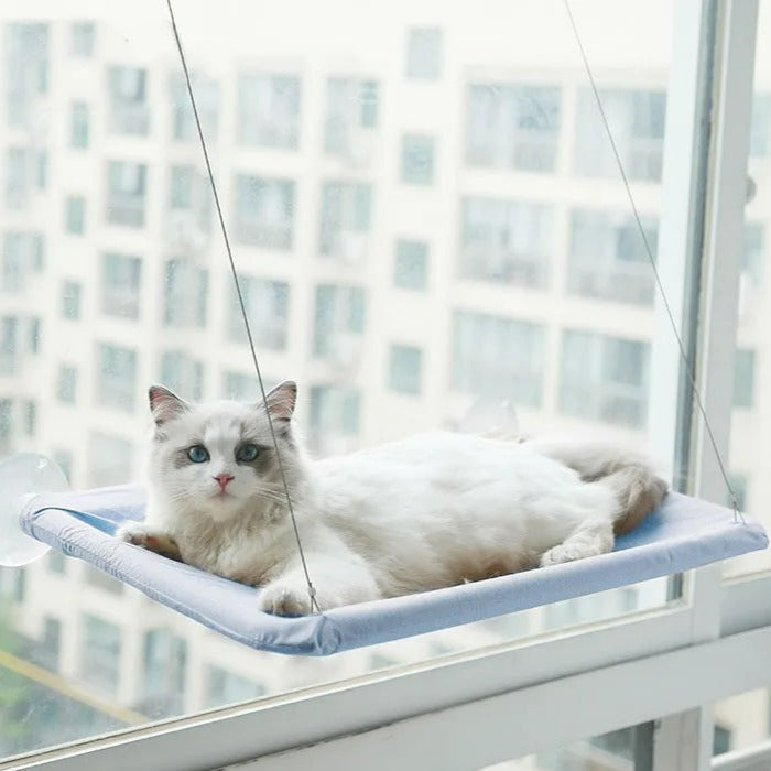 Cat Hammock - Nathi