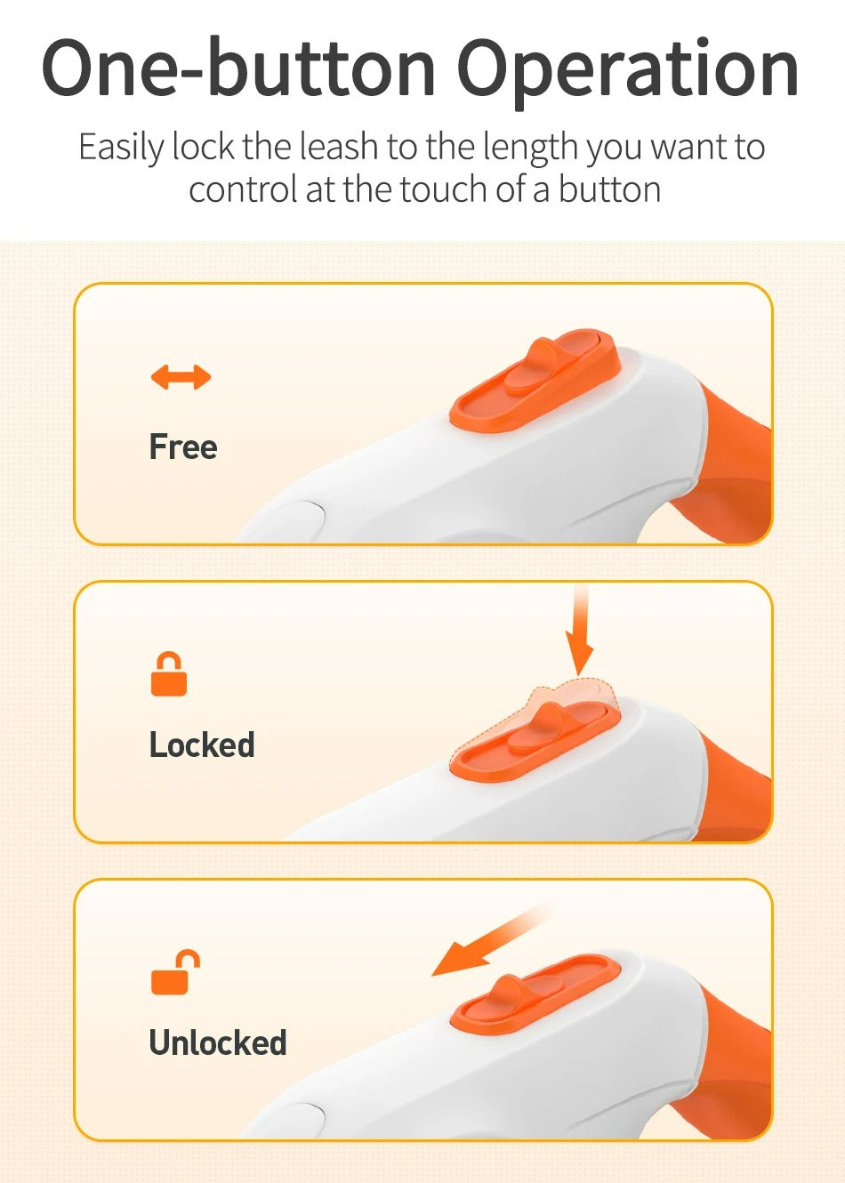 LED Dog Leash - Nathi
