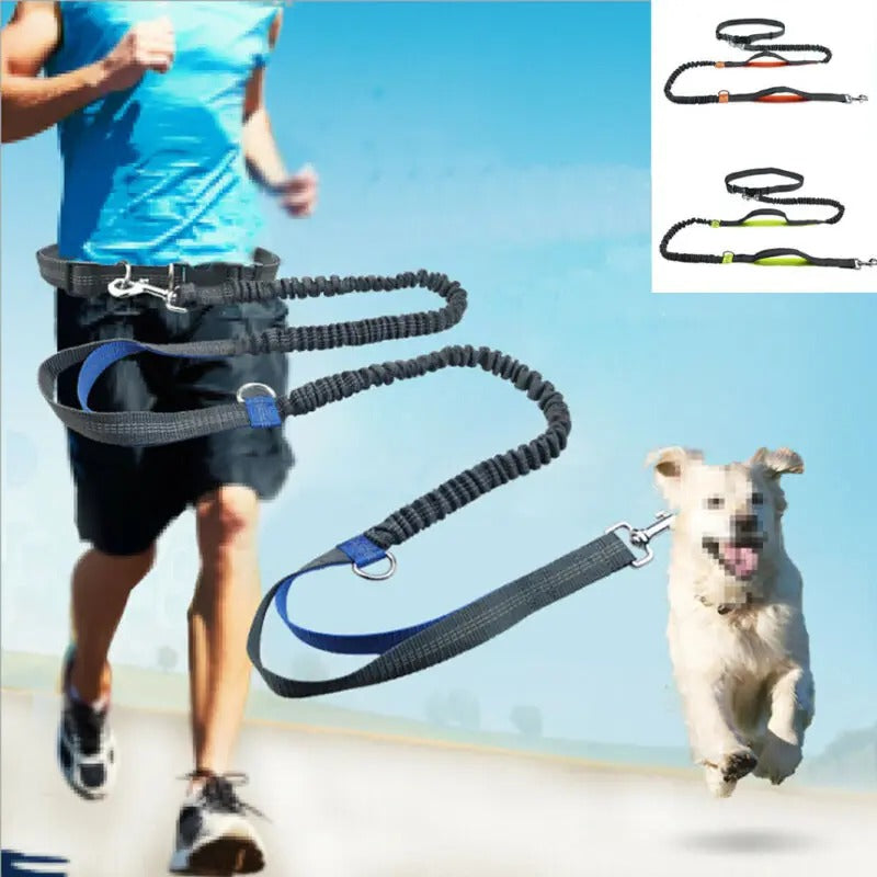 Jogging Leash - Nathi