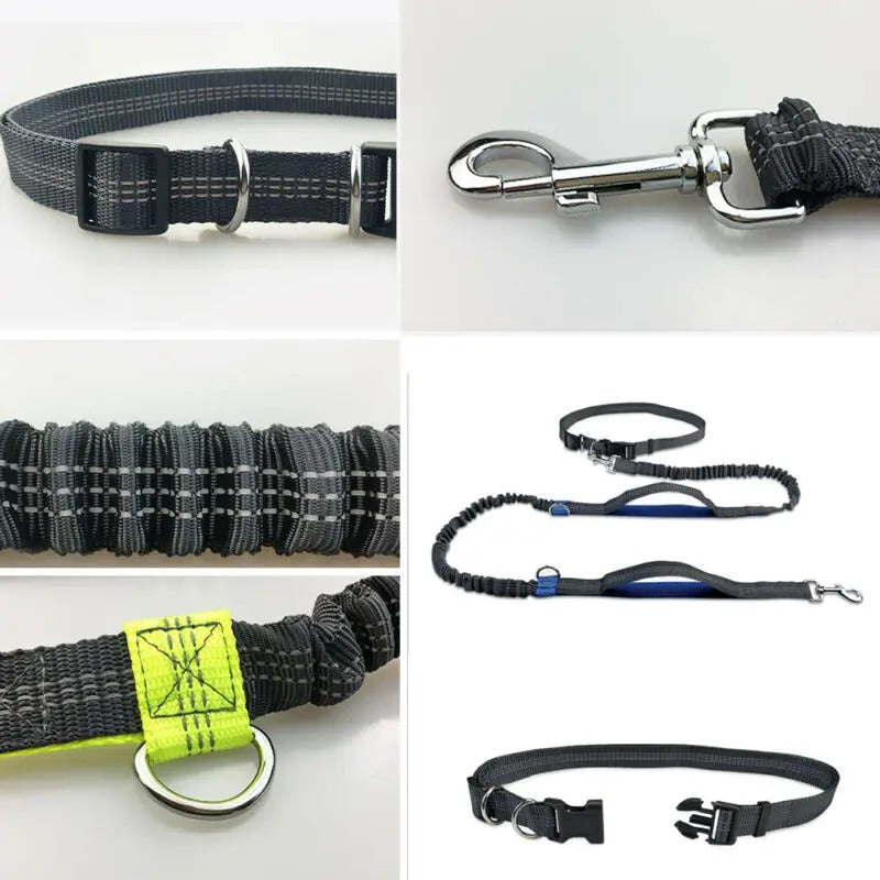 Jogging Leash - Nathi