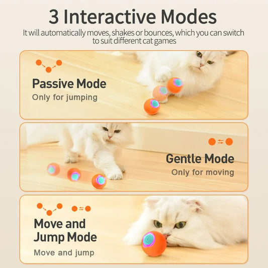 Automatic Rolling Cat Ball Toy - Nathi