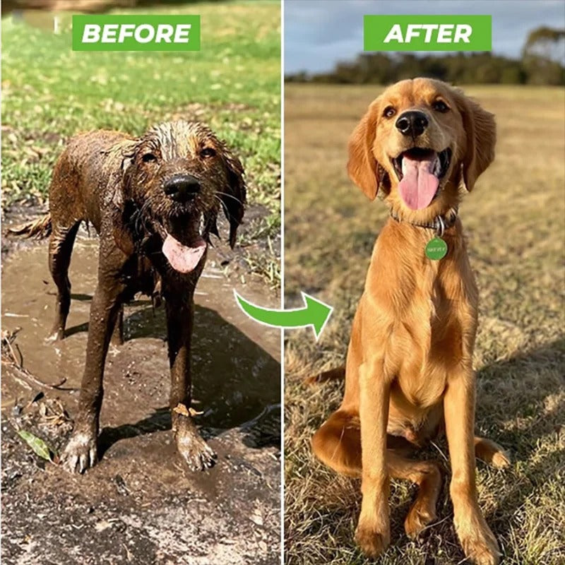 Dog Spray Attachment - Nathi