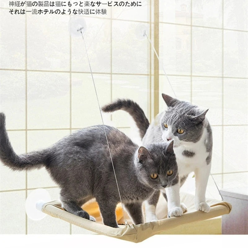 Cat Hammock - Nathi