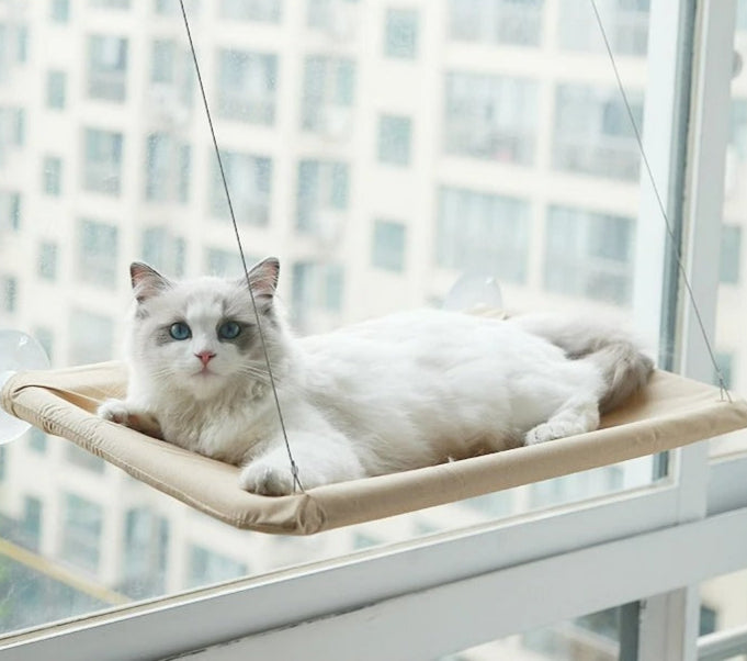 Cat Hammock - Nathi