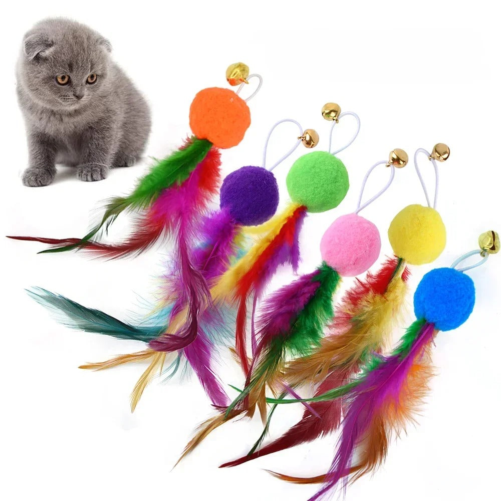 Cat Wand Toy & Accessories