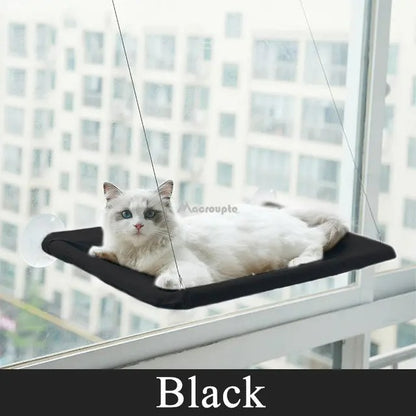 Cat Hammock