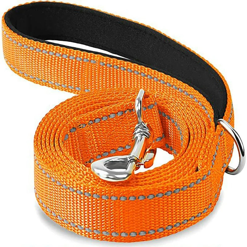 Reflective Dog Leash