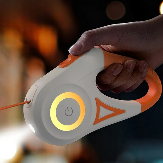 LED Dog Leash - Nathi