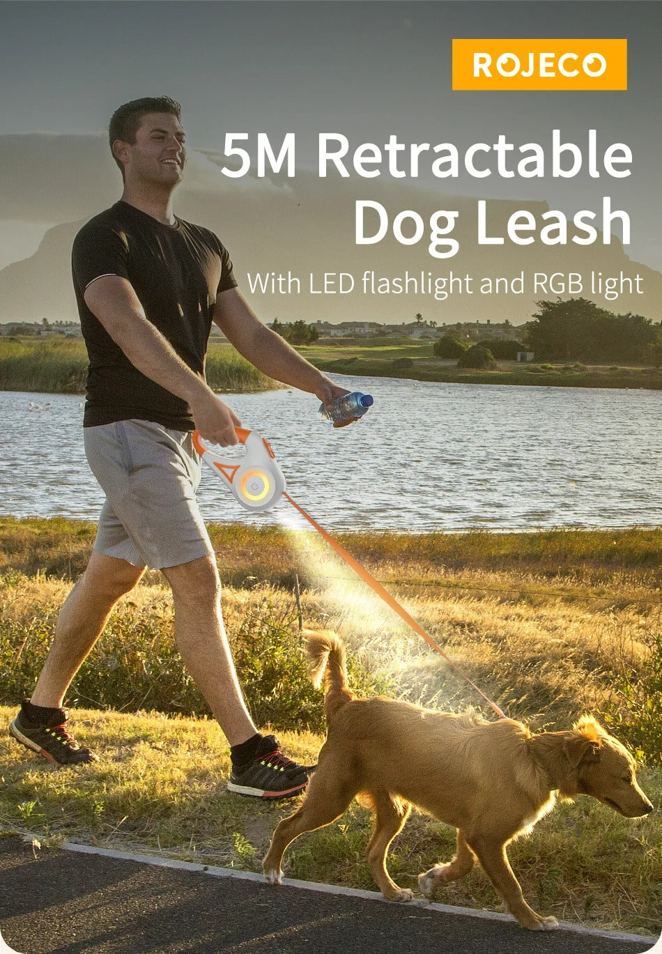 LED Dog Leash