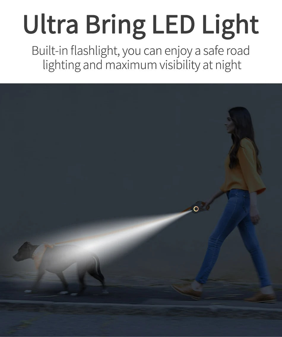 LED Dog Leash