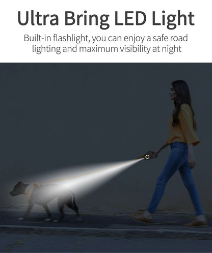 LED Dog Leash