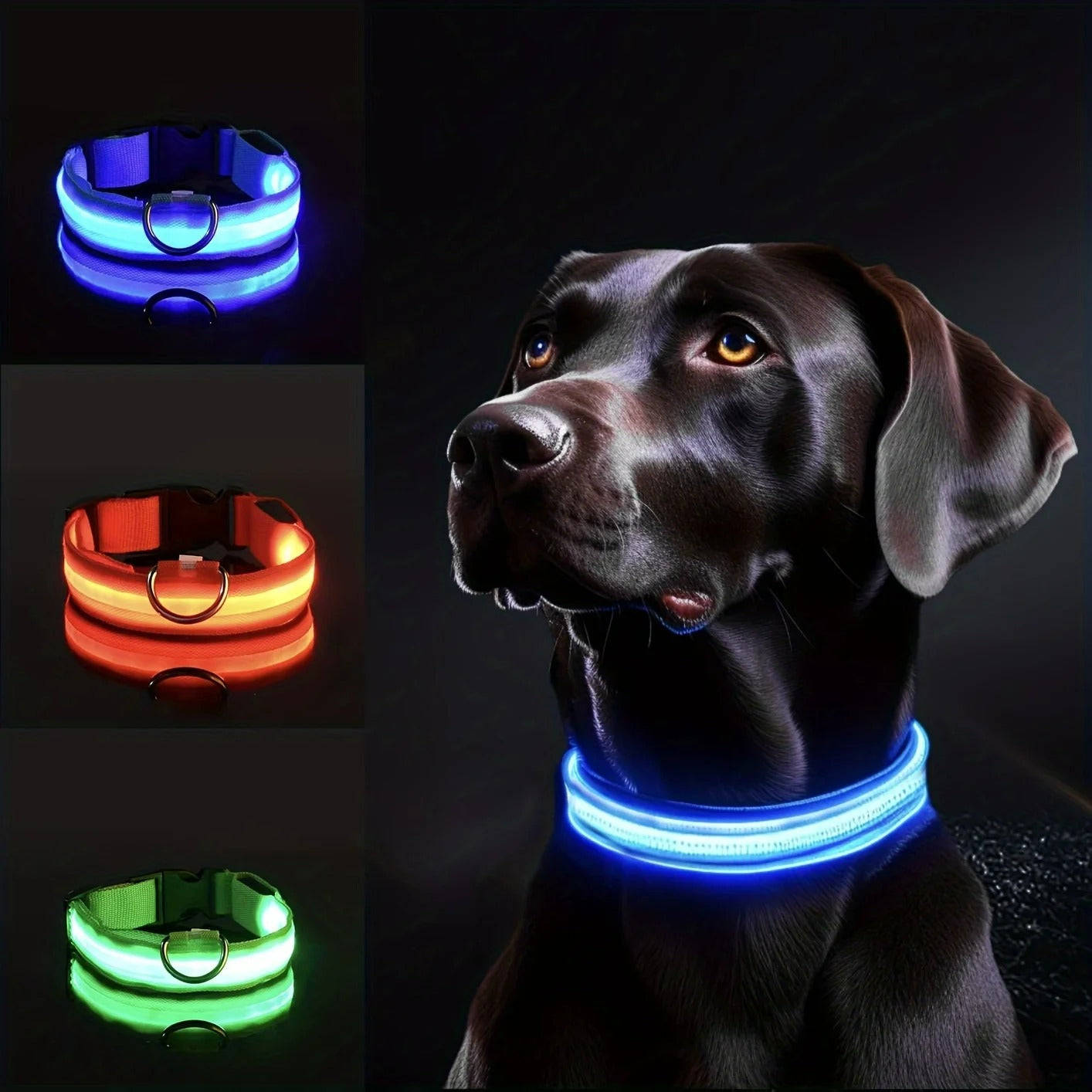 Reflective LED Dog Collar