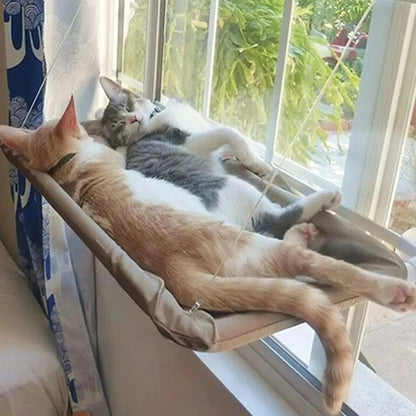 Cat Hammock