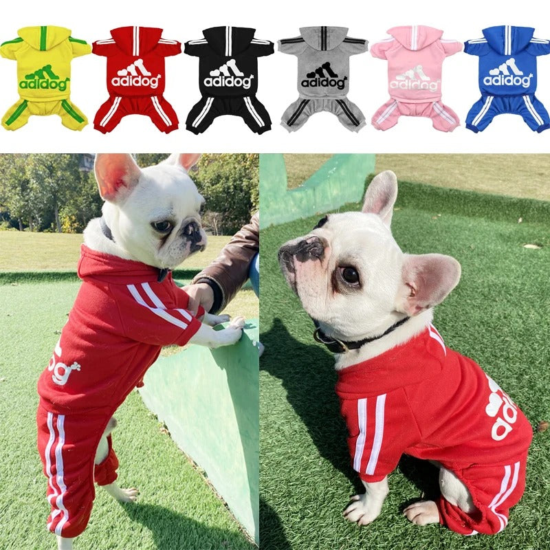 Dog Tracksuit