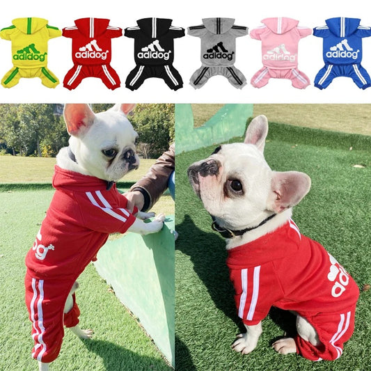 Dog Tracksuit