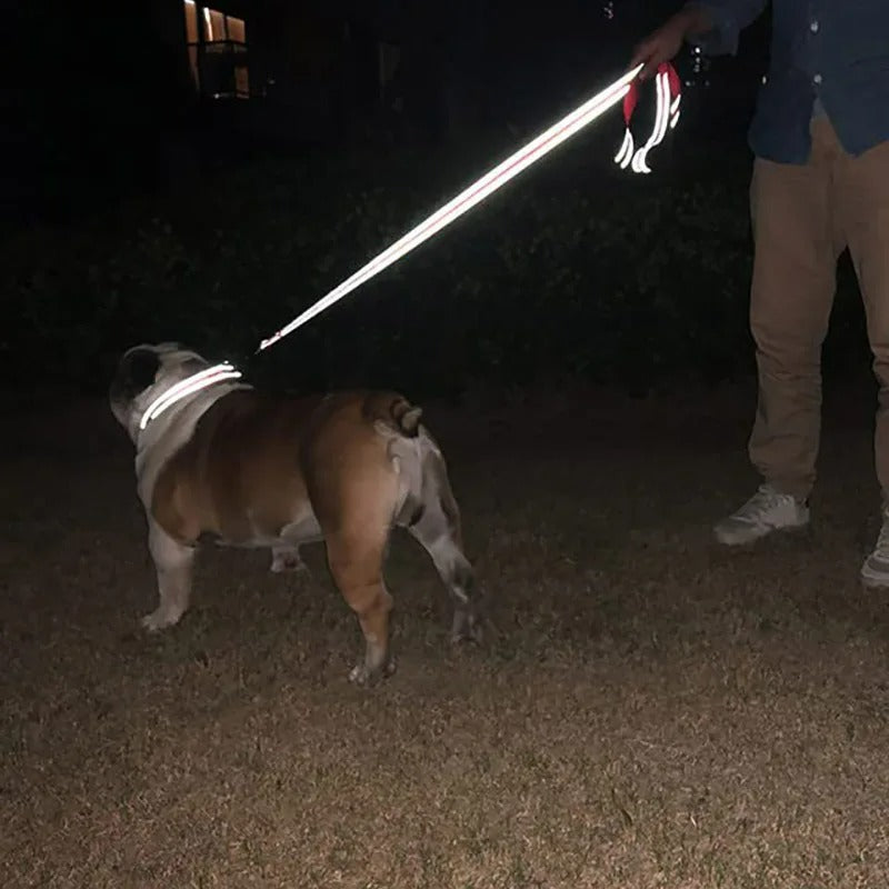 Reflective Dog Leash