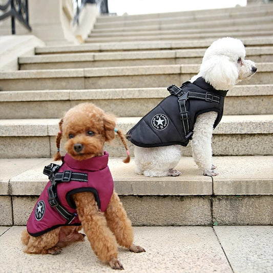 Waterproof Dog Jacket - Nathi
