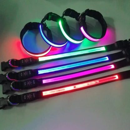 LED Dog Collar