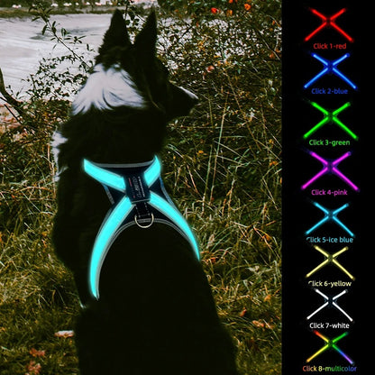 LED Dog Harness