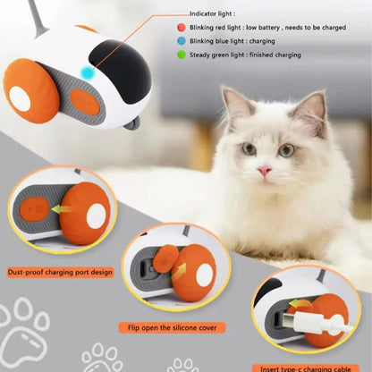 Smart Cat Toy Car