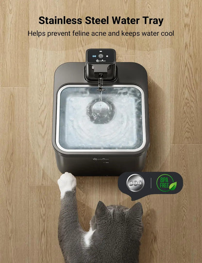 Cat Water Fountain