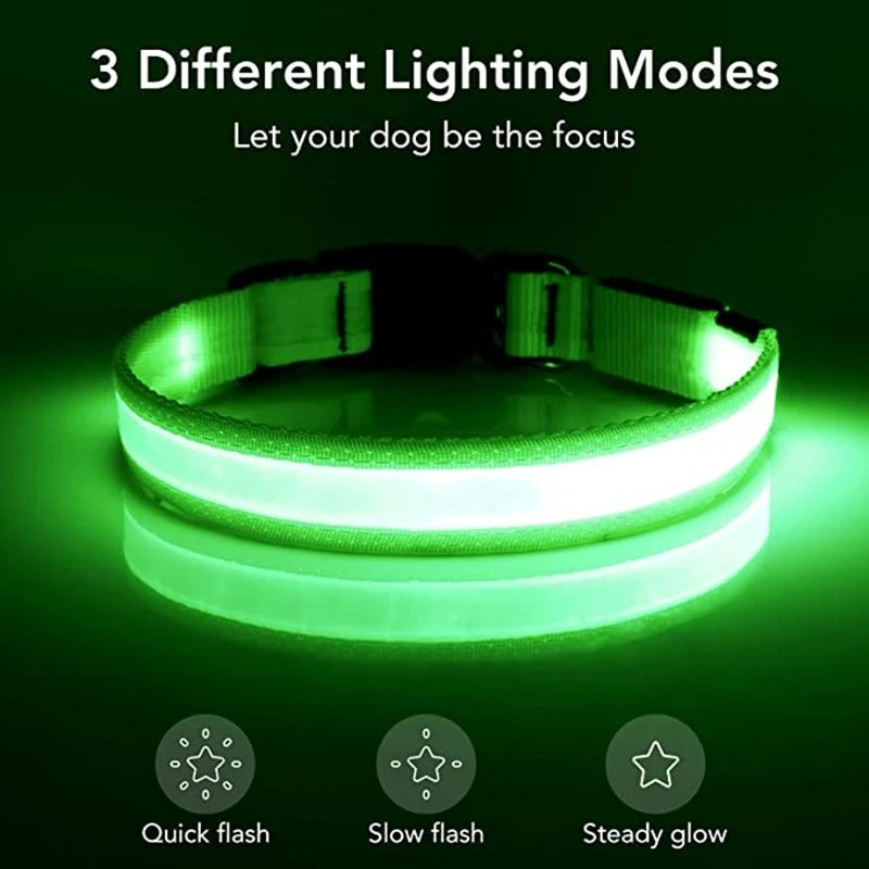 LED Dog Collar