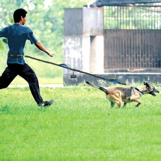 Jogging Leash - Nathi