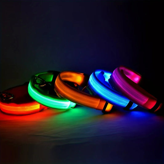Reflective LED Dog Collar - Nathi