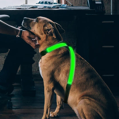 LED Dog Harness