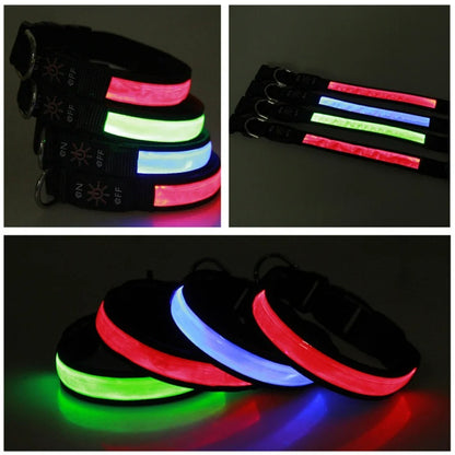 LED Dog Collar