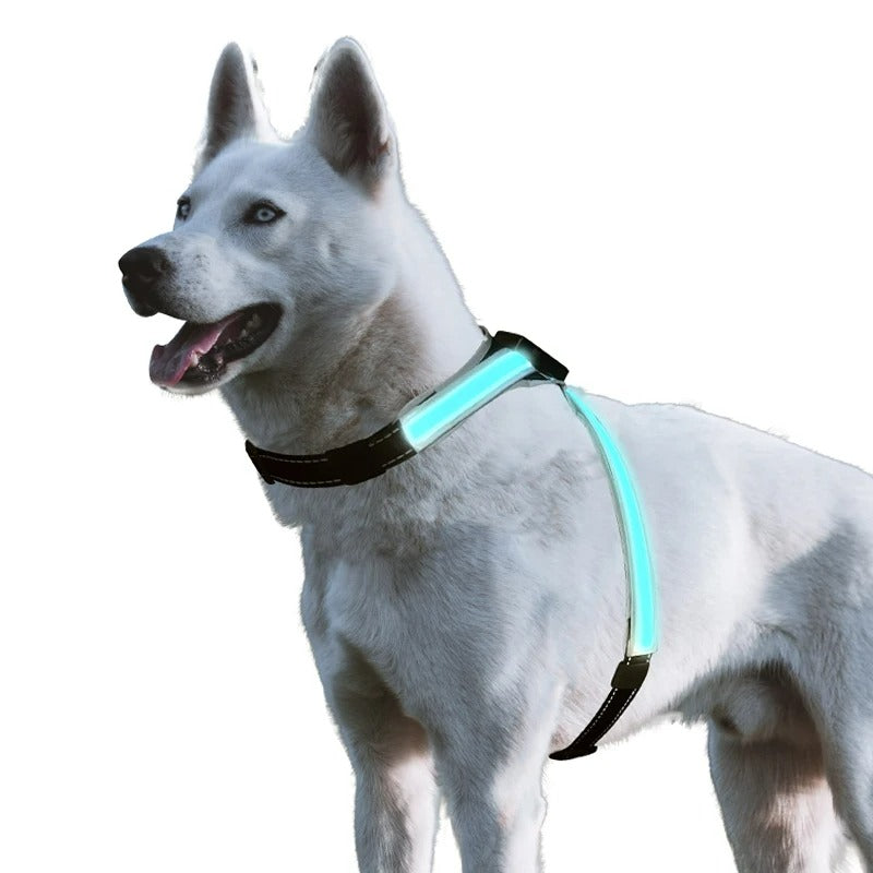 LED Dog Harness