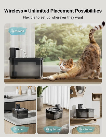 Cat Water Fountain