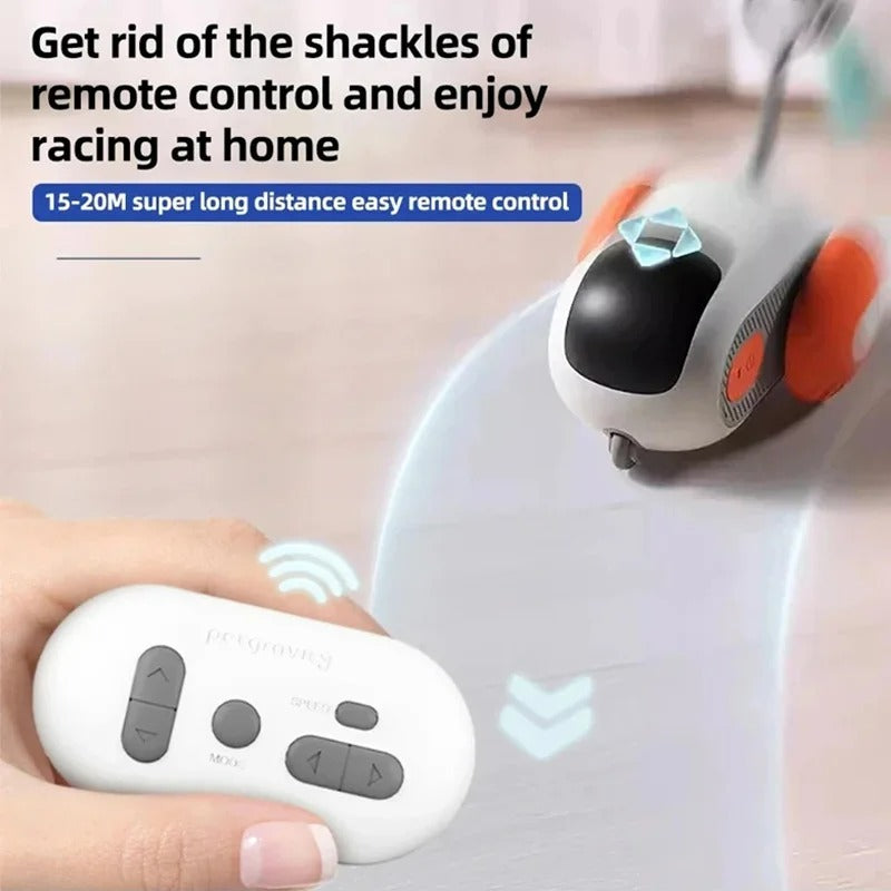 Smart Cat Toy Car