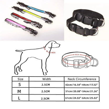 LED Dog Collar