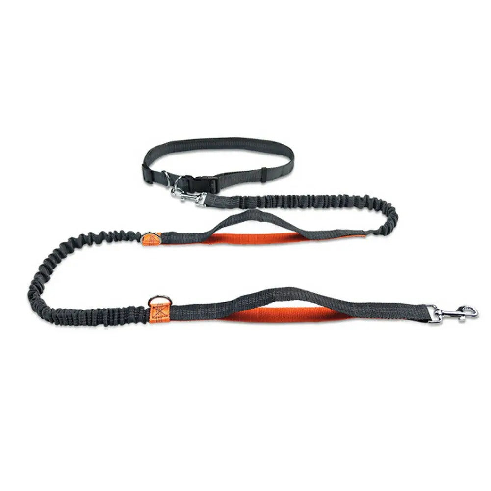 Jogging Leash