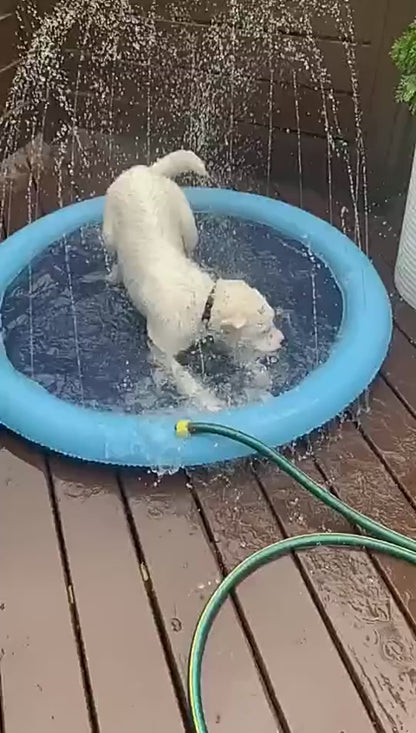 Dog Sprinkler Pad