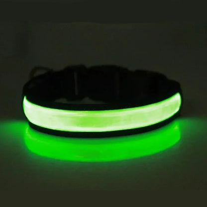 LED Dog Collar