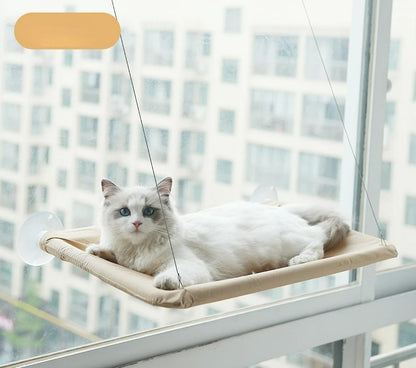 Cat Hammock