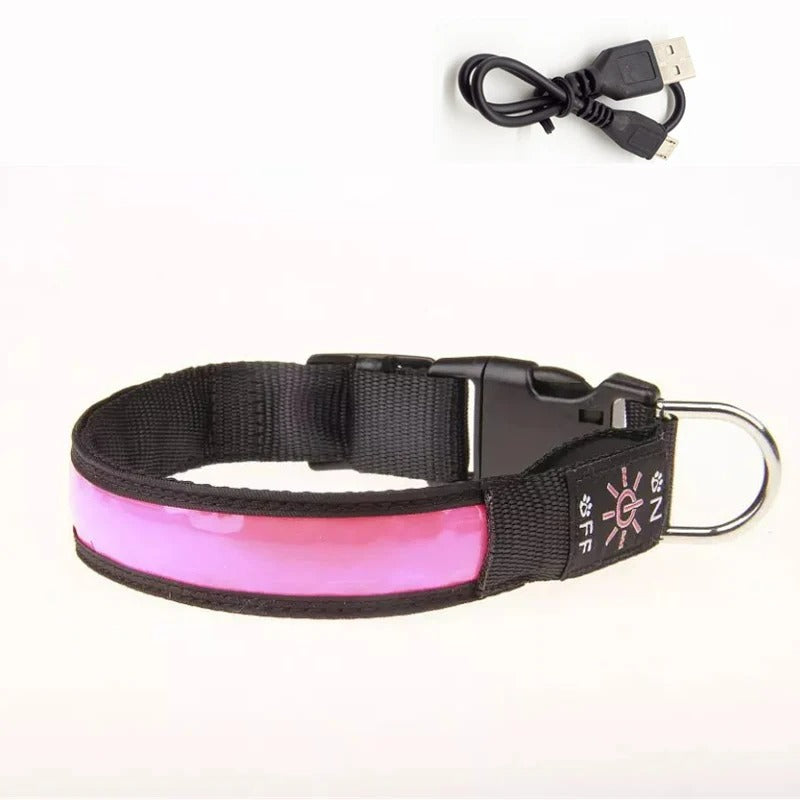 LED Dog Collar