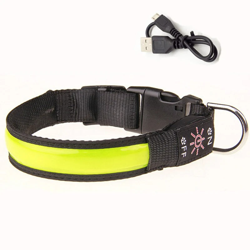 LED Dog Collar